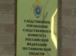 В Тамбове мужчина задушил знакомого за прогул собеседования