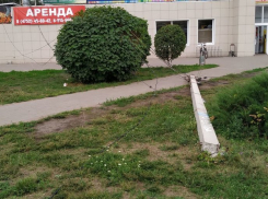 Рухнувший столб на Бульваре Энтузиастов Тамбова ищет своего владельца