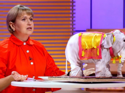 Кондитер из Тамбова с тортом в виде слона прошла в финал сладкого реалити-шоу «Кондитер»