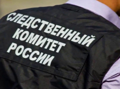 В Тамбове возбудили уголовное дело в отношении организатора экстремистской организации