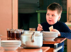 Масса нарушений организации питания выявлены в мучкапских садах и школах 