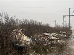 Под Тамбовом планируют ликвидировать свалку за двести миллионов рублей 