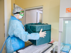 24 новых случая COVID-19 выявлено у тамбовчан сегодня