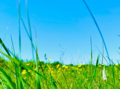 Выходные «порадуют» грозами и жарой