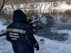 Росприроднадзор обнаружил загрязнение Цны в районе Архиерейского леса