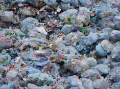 Кто хайпует на тамбовском мусоре?