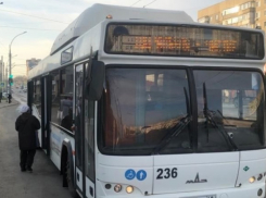 В Тамбове дачный автобус в Чистые пруды будет ходить чаще