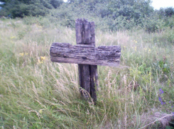 Трэш в Бондарском районе: сын похоронил отца в банке, а его друг пользовался пенсией умершего 