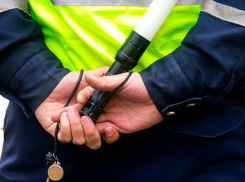 В Жердевке автомобилист без прав попытался дать взятку полицейским