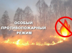 На ближайшие дни в Тамбовской области установлен особый противопожарный режим
