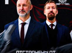 Хоккейный «Тамбов» будет тренировать Фетисов