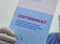 В Тамбовской области выявлено ещё несколько случаев «липовой» вакцинации