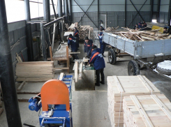 На базе тамбовских лесхозов откроется 3 новых цеха деревообработки 