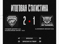 ХК «Тамбов» уступил «Зауралью» с минимальным счётом