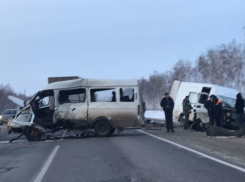 Страшная авария с участием нескольких машин и человеческими жертвами  произошла на подъезде к Тамбову