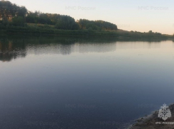 В пруду Пичаевского района утонул пенсионер