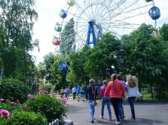 В Мичуринске муниципальный парк культуры уличили в махинациях с имуществом