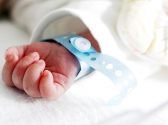 В феврале в Тамбове родились Гордей, Клим, Ассоль и Василина