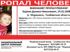 Под Моршанском пропал 12-летний мальчик