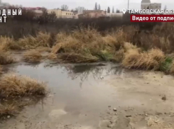 Тамбов намерен взять в собственность источник фекальных озёр на западе города 