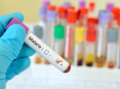 В Тамбовской области зарегистрирован новый случай завоза малярии