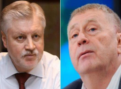 Сергей Миронов и Владимир Жириновский отказались от своих мандатов в Тамбовской областной Думе
