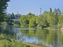 Власти обещают полностью оздоровить Цну к 2028 году