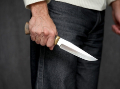 Вынесен приговор убийце гражданской супруги из Кирсанова 