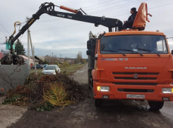 За прошлый месяц в Тамбове ликвидирована почти тысяча свалок 