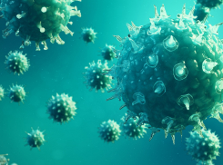 В Тамбовской области за сутки коронавирус выявлен ещё у 127 человек