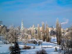 Редкие птицы и подготовка к новому году: куда сходить в Тамбове отдохнуть