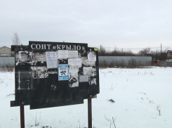 В Тамбове задержан серийный дачный вор