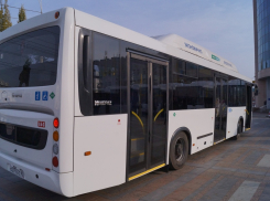 На западе Тамбова будет организован  новый автобусный маршрут 