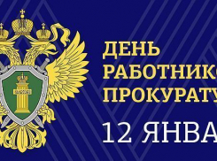 Страна отмечает день работника прокуратуры