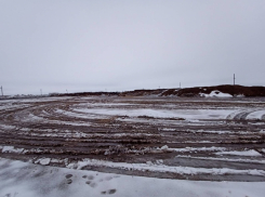 Экспертиза выявила отклонения от нормы в пробах воды вблизи Токарёвской птицефабрики 