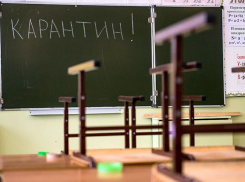 Тамбовские школы могут закрыться на карантин по ОРВИ