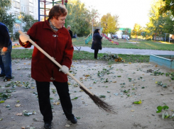 В Тамбове начинается осенний месячник по благоустройству