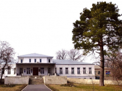 Знаменская сосна претендует на звание главного дерева страны