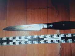 В Петровском районе мужчину приговорили к 12 годам тюрьмы за убийство сына