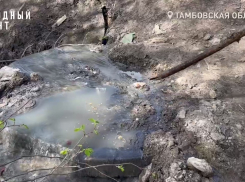 На западе Тамбова забил зловонный ручей 