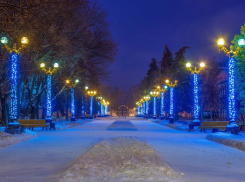 Балет, 3D и завершение новогодних гуляний: еженедельная афиша мероприятий Тамбова