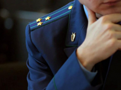 Чиновники администрации Мичуринска занижали сведения о своих доходах