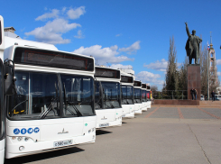 Три городских автобуса изменят свои маршруты