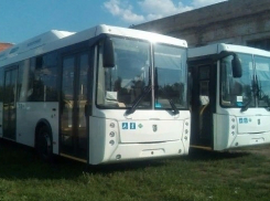 Вслед за повышением тарифов, в Тамбов приедут новые автобусы