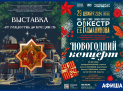 Афиша предновогодних мероприятий Тамбова