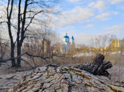 Тамбовчан ожидают заморозки