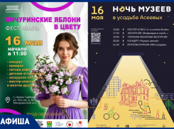 Музейно-спортивные выходные в афише «Блокнот Тамбов»