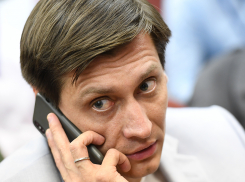 Экс-депутата Госдумы от Тамбовской области Дмитрия Гудкова выпустили из-под ареста