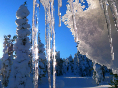 Рабочая неделя в Тамбове будет морозной и снежной