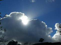 К пятнице в Тамбове соберутся дожди